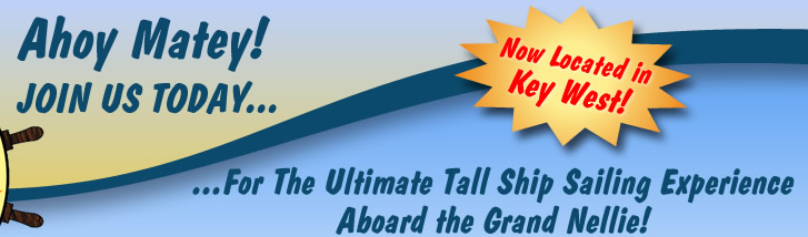 Schooner Grand Nellie: The Ultimate Tall Ship Sailing Experience!